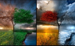 Four-Seasons-wallpaper